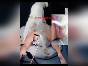 Grande Chienne Exploite Chinoise, Vidéo X