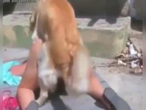 Bestiality: Woman and dog in a shocking scene
