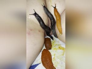 Woman and dog: a bestial and intense encounter