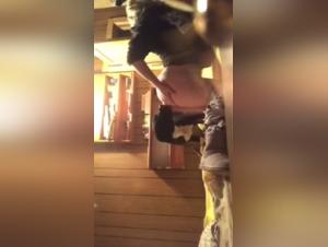 Woman and Dog - A Forbidden Encounter