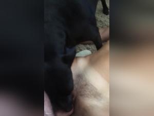 Woman and dog: a story of zoophilia