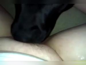 A Taste of Bestiality: Delicious Licking Unleashed