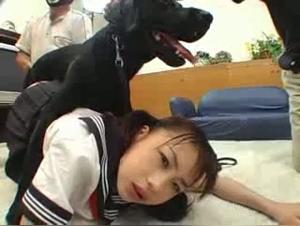 Horse Fucks Girl Brutally