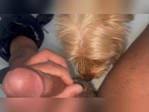 Marcy and her love for dogs: a story of shocking bestiality