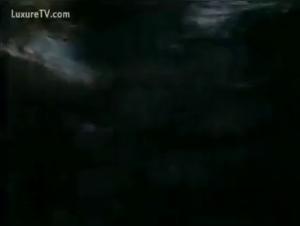 Bestiality: A woman and her dog