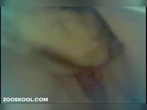 bestiality woman dog