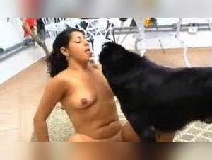 Hunde-Beischlaf: Doppel Penetration
