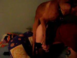 Milly Dog Sex Webcam