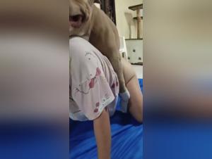 Hure beim Hund Teil 1