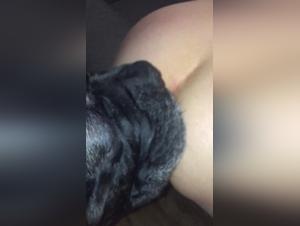 Woman and Dog: An Unforgettable Sexual Encounter