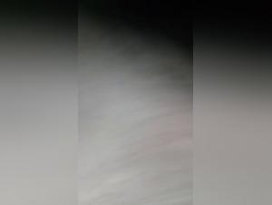 Submissive woman and dog in nature: an extreme zoophilia video