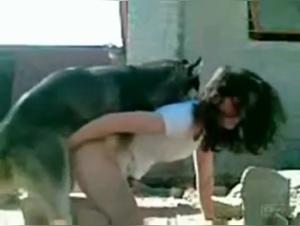 Beautiful brunette gives in to her desires with stray dogs