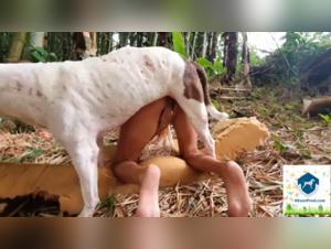 Bestiality: Alison and her dog in a hardcore video