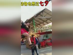 la salope baisée par son chien sauvage