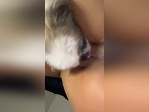 Forbidden Meeting: Woman and Dog