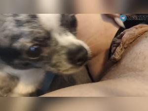Frau Hunde Leck Lust
