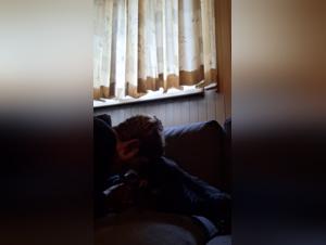 bestialica and animalism