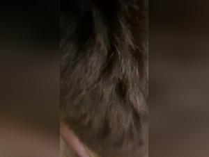 Forbidden Meeting: Woman and Horse