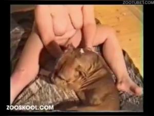 Curvy Women and Dogs: Breathtaking Bestial Videos