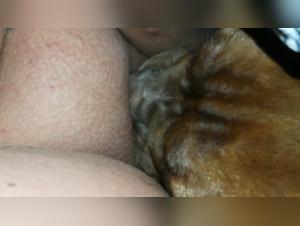 A beastly encounter with my four-legged friend