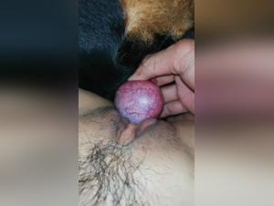 Exotic Animal Bestiality - Unleash Your Inner Beast