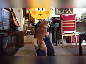 bestiality extrême chinoise : jouissance canine