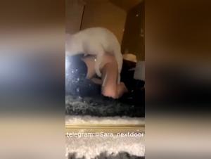 tierische lust extreme