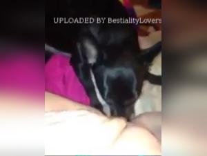 Bestial and intense encounter: A woman and her dog