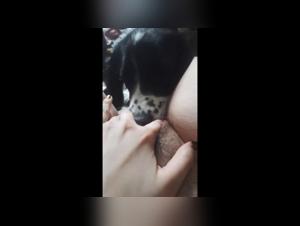 forbidden beastiality explorations