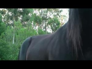 Horse Sex Compilation: Extreme LustMonster Videos