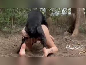 cupcake tierisch: animalisches sexvergnügen