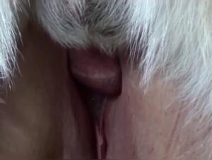 A hefty woman takes a dog's cock