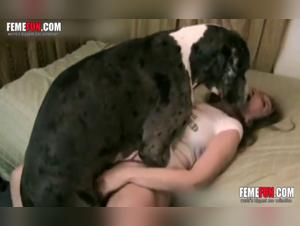 Femfun: An Exciting Bestiality Zoophilia Sex Experience