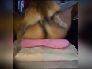 dog sex: wife and dog in extreme lust