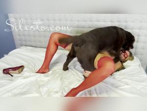 Veronica Silesto - A Forbidden Experience