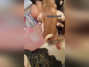 Giving my dog the best blowjob ever