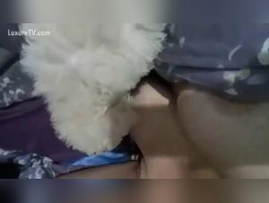 porn zoo animal fucking