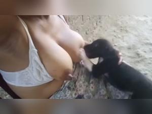 Bestiality video in 720p