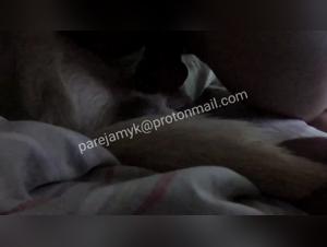 Woman and dog: an intense zoophilia video