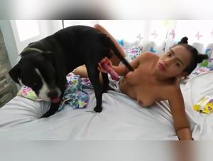 pitbull hardcore: doggystyle with teen