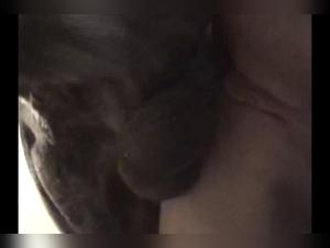 Woman and Dog: An Exciting Encounter - Bestiality and Zoophilia Video