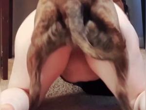 fucking a dog videos, zoofilia ecstasy