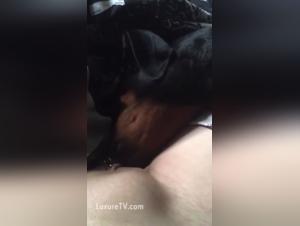 Dog Fucks Woman Wildly