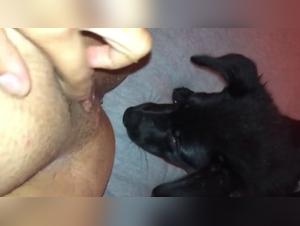 Zoophilia video with dog - Watch bestiality sex videos