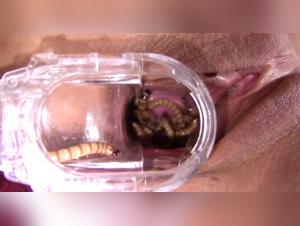 Superworms XXX:  Woman Fucks Worms Intensely