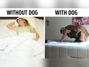 Intimate Video with a Dog - A Bestial Experience