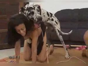 Femme baisée par chien en présence de sa BFF : sexo com animal hors norme