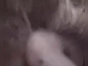 Bestiality: a woman and a horse in a shocking video