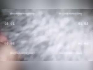 Bestiality Video: Moaning Star