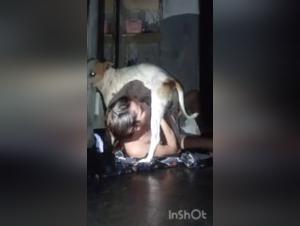 Bestiality with a dog: a Brazilian woman without taboos